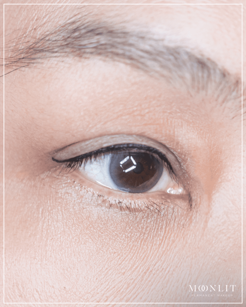 permanent eyeliner Salt Lake City natural healed result consultation design outcome
