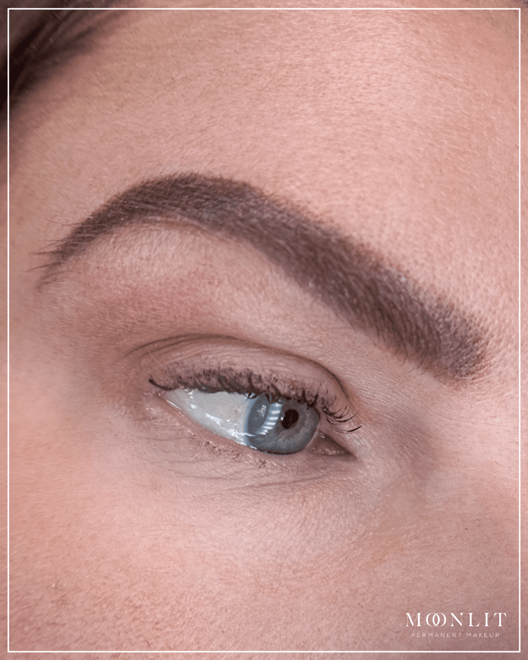 Close-up of PMU brow color correction showing previously ashy, gray-toned pigment being neutralized with warmer tones, soft powder brow shading and defined arch on light skin, natural healing stage, Salt Lake City, Utah